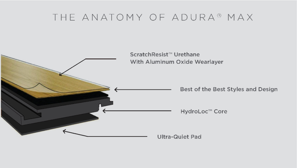 TheAnatomyOfAduraMax